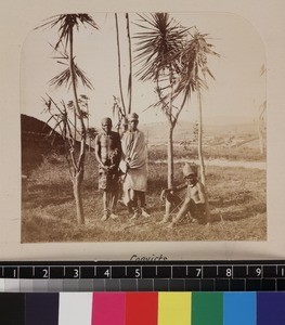 Outdoor portrait of three shackled convicts, Madagascar, ca. 1865-1885