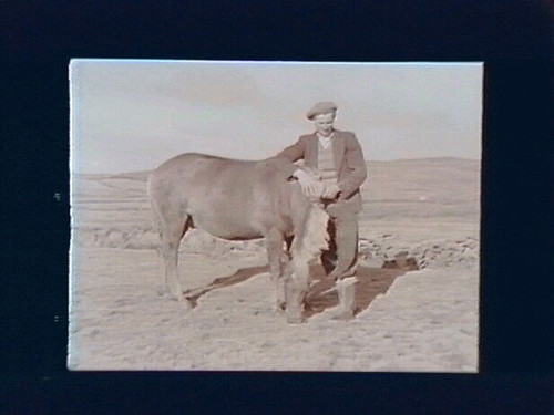 Kenneallys (boy with horse)