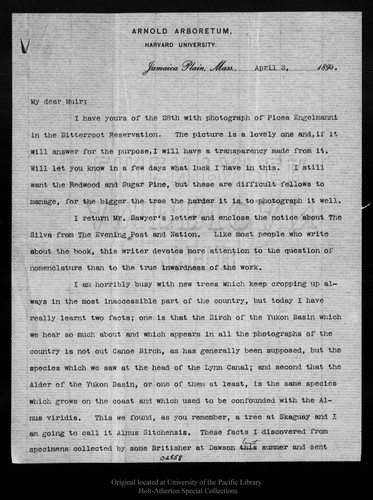 Letter from C[harles] S[prague] Sargent to John Muir, 1899 Apr 3