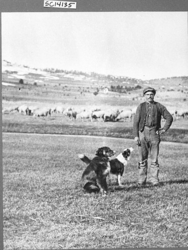 Unidentified Man and Two Dogs