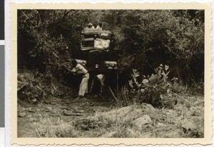 Road through bush, Ethiopia, 1952