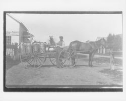 Wagon full of milk cans, Petaluma, California, 1898