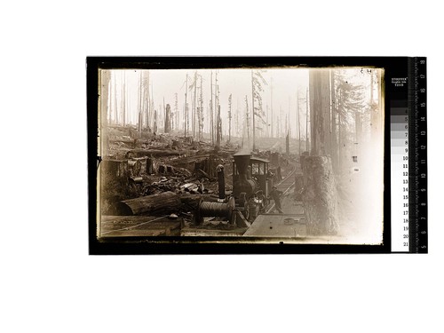 [Small railroad engine and log pulling equipment in a logging site]