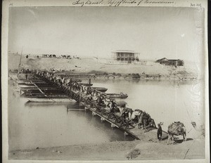 Suez canal. Floating bridge for caravans