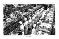 Workers at canning tables