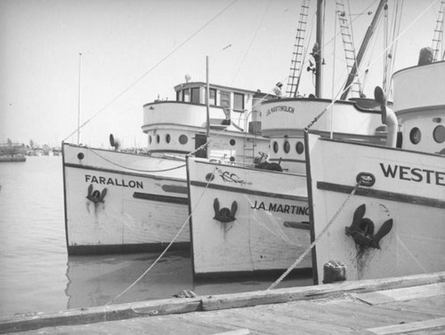 Farallon and Martinolich docked at Terminal Island