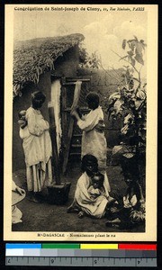 Women pound rice, Madagascar, ca.1920-1940