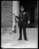 Officer Harry Reeve and the bobcat he killed, Los Angeles, September 1934