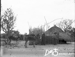 African people in front of a hut, Mozambique, ca. 1896-1911