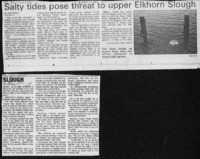 Salty tides pose threat to upper Elkhorn Slough