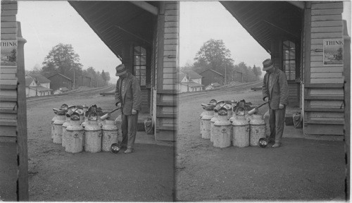 A shipment of fingerlings. They must be carefully watched and iced if temperature rises too much. Attendant is pouring water into can to aerate contents. Wayne County, Penna