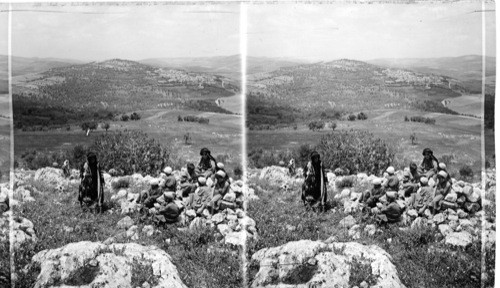 The Hills of Samaria. Palestine