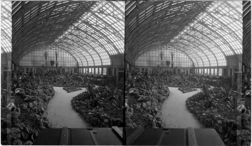 The New Cactus Room at the Garfield Park Conservatory, Chicago, Ill