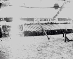 Gravenstein Apple Show display of J. F. Miller & Sons apples of Healdsburg and Forestville, 1930s