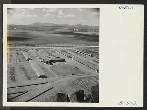 A general view of the poultry farm at the Tule Lake Relocation Center. Photographer: Stewart, Francis Newell, California