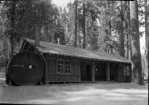 Buildings and Utilities, Giant Forest Museum. Giant Sequoia Sections. Exhibits