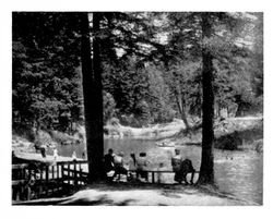 Lake at Camp Meeker