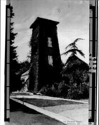Ivy covered tower, Petaluma, Cal