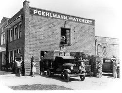 Poehlmann Hatchery