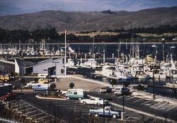 Spud Point Marina, Bodega Bay, California, 1985