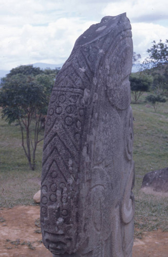 Back of a double guardian stone statue, San Agustín, Colombia, 1975
