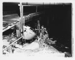 Man and two boys inspect a boat washed under a wharf, Bodega Bay, California, January 1959
