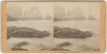 South Farallon Island, the Ramparts, Funnel Rock, Hole in the Wall and Pyramid, Fisherman's Bay, # 992