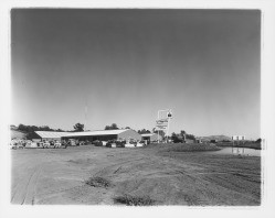 Graded yard and equipment at the Stevenson Equipment Company Incorporated, 3975 Old Redwood Highway, Santa Rosa, California, 1964