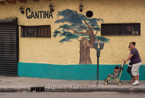 Cantina, Juárez, 2007