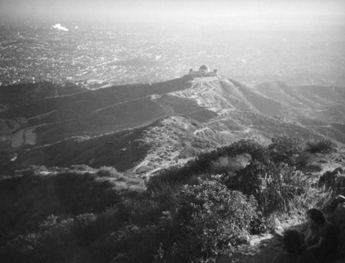 Griffith Observatory and Los Angeles from Mount Hollywood