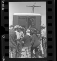 Striking grape workers held in van as sheriffs guard other arrestees at H&M Tenneco farm in Riverside County, Calif., 1973