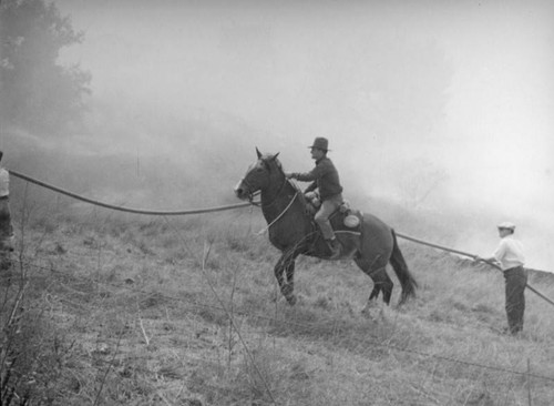 Mounted fireman in the Universal Pictures Company backlot