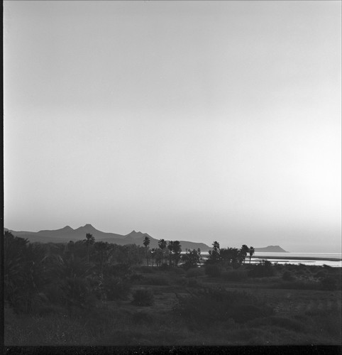 Estero and fields at San José del Cabo, looking east