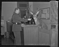 Inspector C. S. Bauder offers Chiefie the deer a cigarette, Los Angeles, 1936