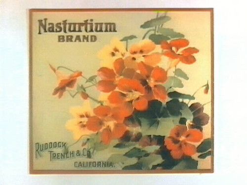 Nasturtium Brand