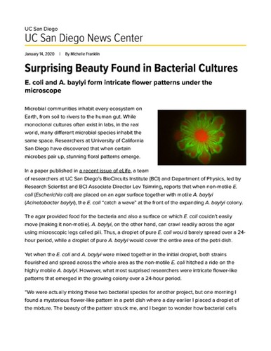 Surprising Beauty Found in Bacterial Cultures