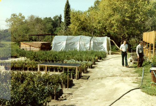 Sepulveda Wildlife Reserve greenhouse, 1981