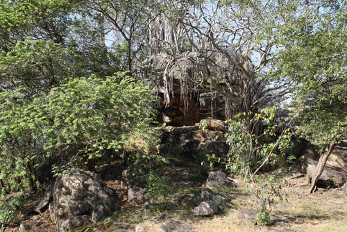 Gopala Pabbata (Herdman's Rock): Rock shelter