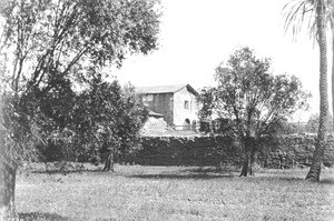 Exterior view of the Mission San Fernando Rey de Espana as seen from an olive orchard, 1890