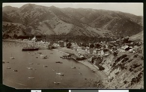 Birdseye view of Avalon Harbor showing many boats, ca.1905