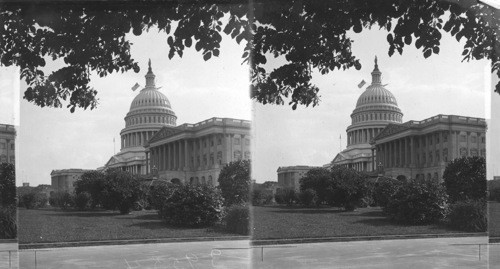 Capitol, Washington. D.C