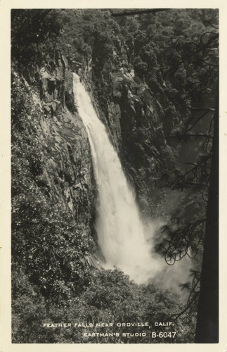 Feather Falls