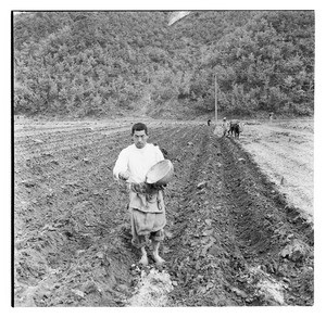 Farmer holding a gourd in his field, Korea