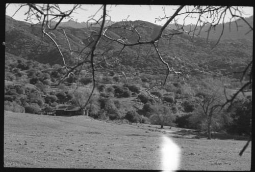 P.J. Wyckoff, East Fork Kaweah River Canyon. Front Country Cabins and Structures, Old Loverin Cabin, Oak Grove. 740207. Light Leak on negative