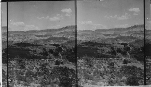 Irrigated Ranch in Utah Desert. Zion