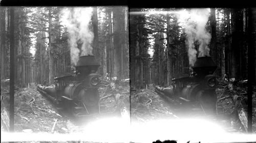 A characteristic logging train and railroad in the heart of the Cascade Mts. Ore
