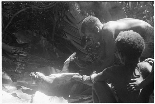Butchering the sacrifical pig, Kwailala'e
