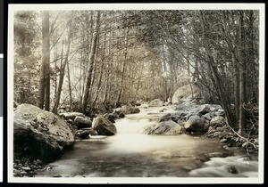 San Antonio Creek near the hotel at Camp Baldy, ca.1930