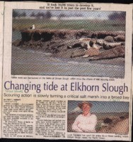 Changing tide at Elkhorn Slough