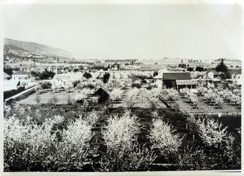 1900 North Los Gatos